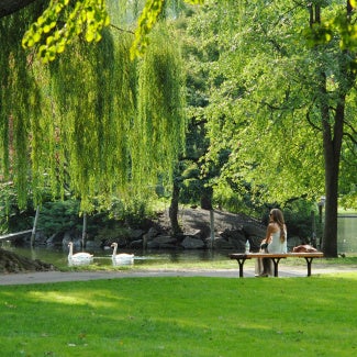 A woman sitting in a park