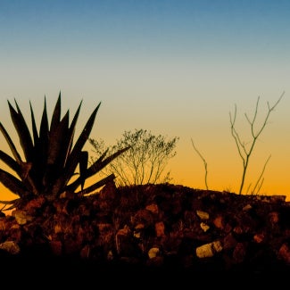 A desert at dusk