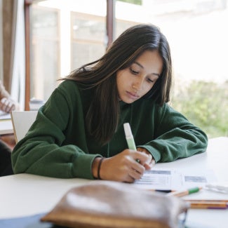 A high school student